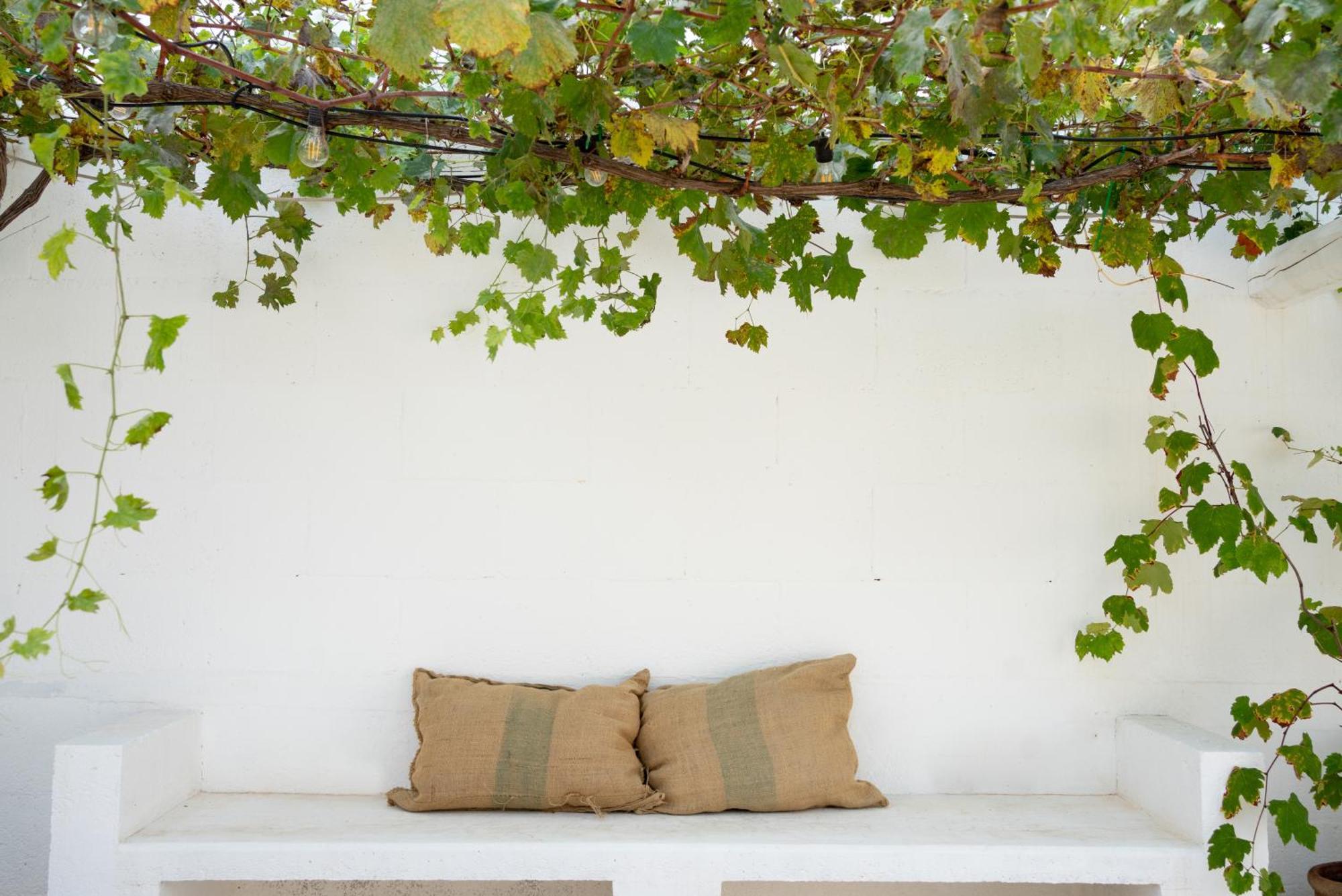 Oltre Gli Ulivi Bed and Breakfast Ostuni Buitenkant foto