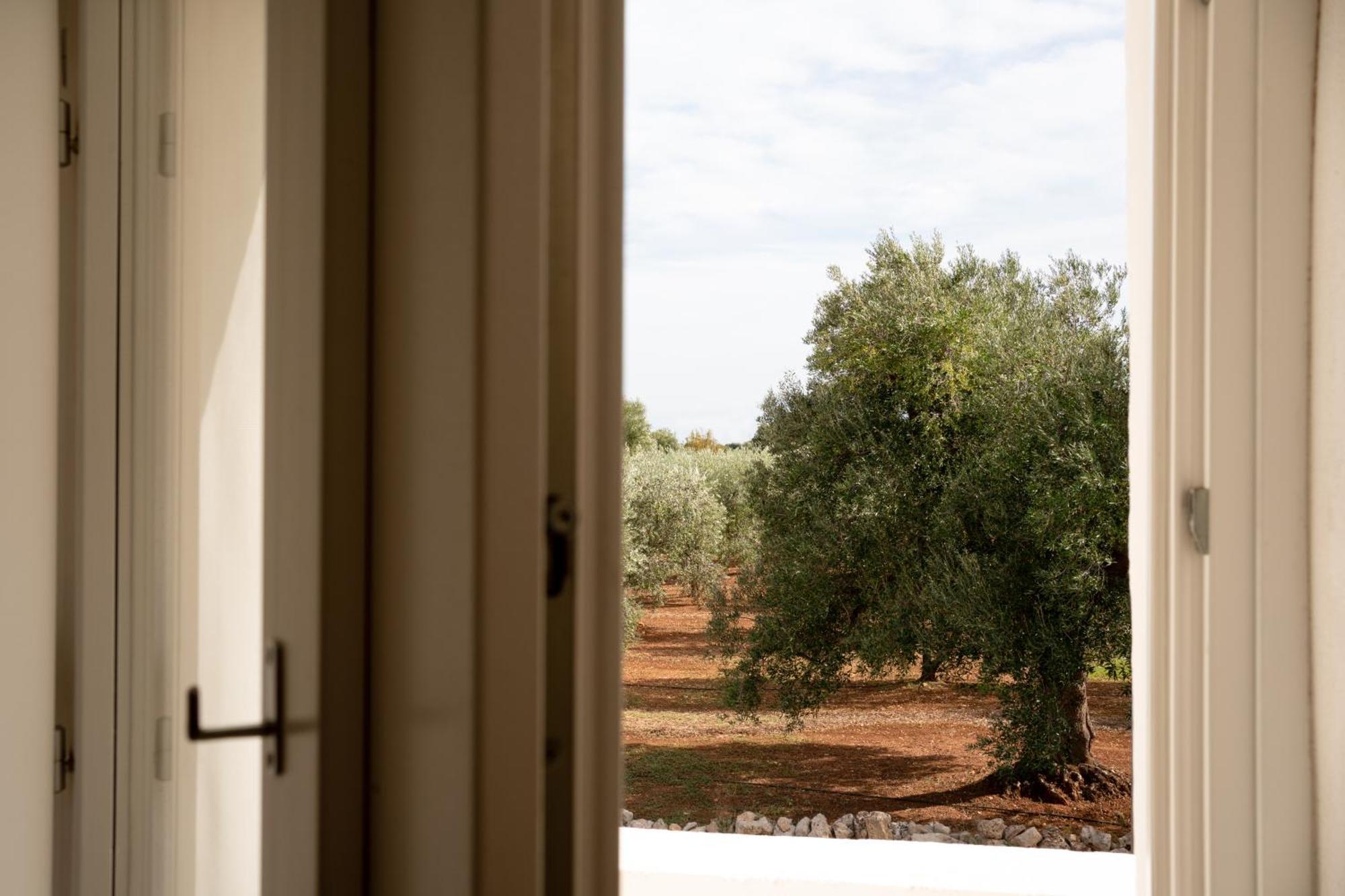 Oltre Gli Ulivi Bed and Breakfast Ostuni Buitenkant foto
