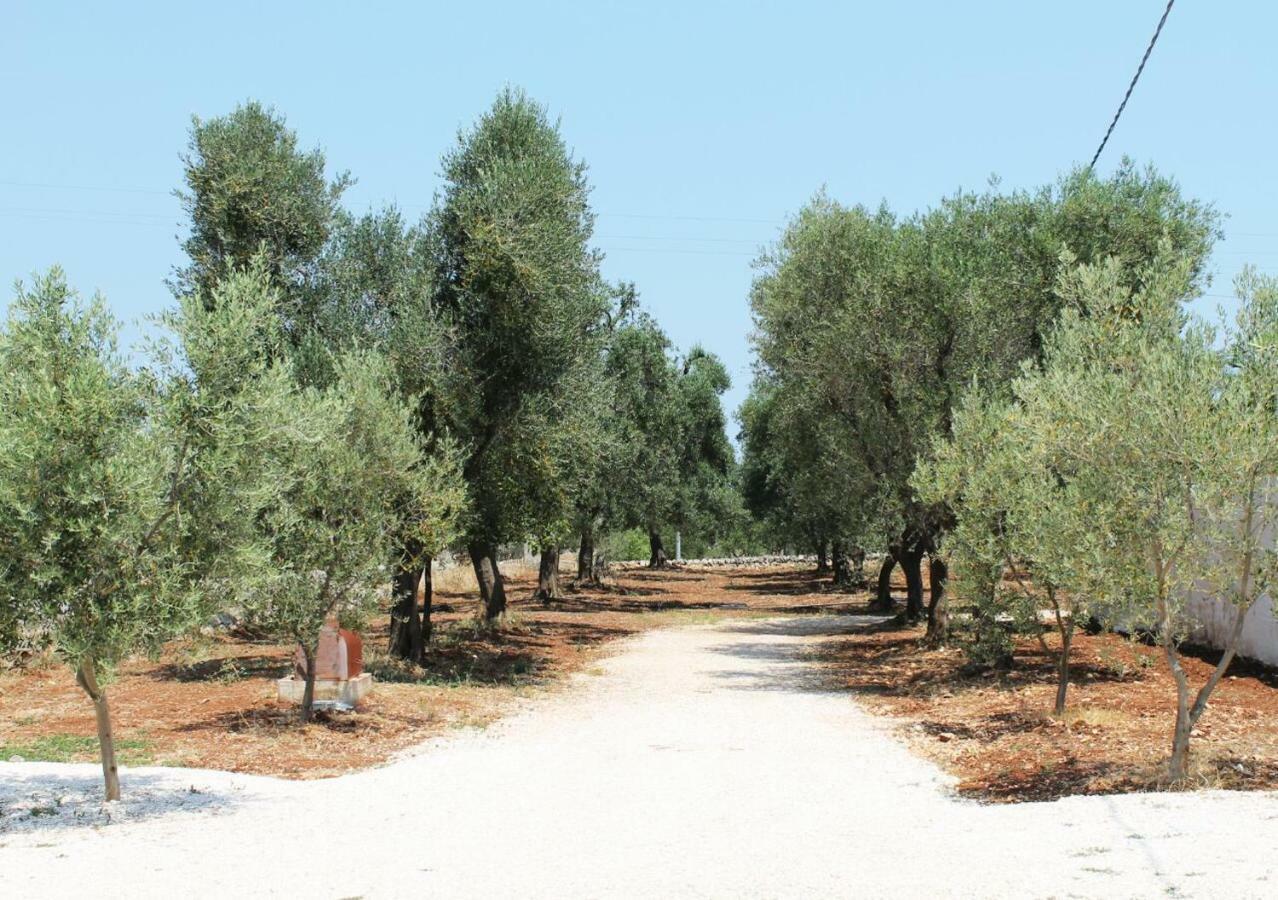 Oltre Gli Ulivi Bed and Breakfast Ostuni Buitenkant foto